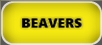 Verminators Beaver Removal Gainesville